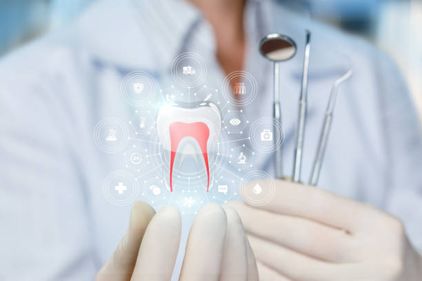 Best Veneers and Lumineers  in Plymouth, MN